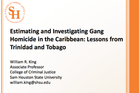 King Gangs Presentation Feb 2012